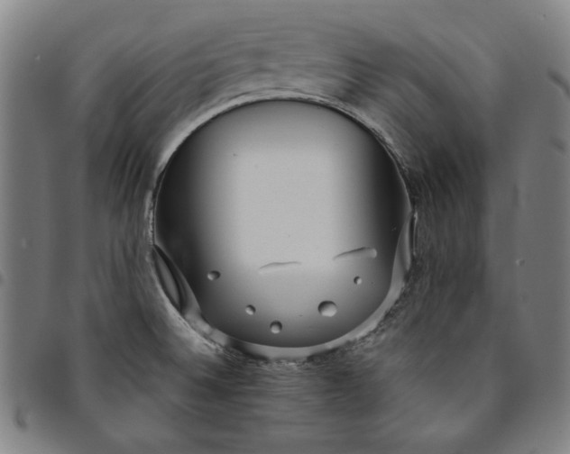 X0000094971524200712131443