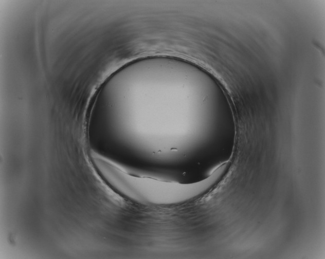 X0000094971525200712131443