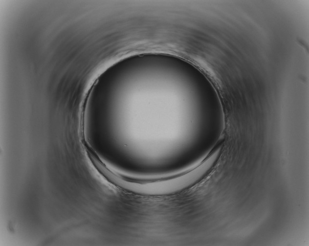 X0000094971528200712131443