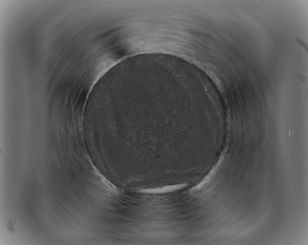 X0000094971529200712131443