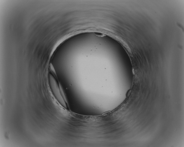 X0000094971530200712131443