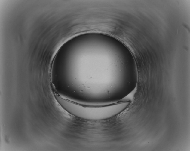 X0000094971532200712131443