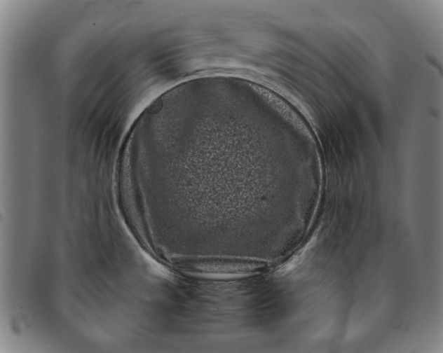 X0000094971533200712131443