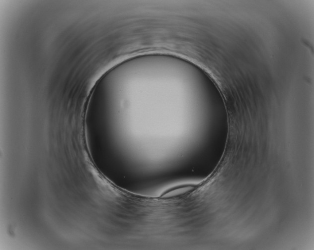 X0000094971534200712131443