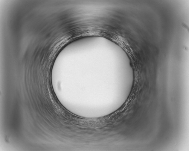 X0000094970001200712201233