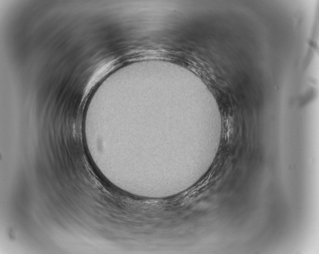 X0000094970004200712201233