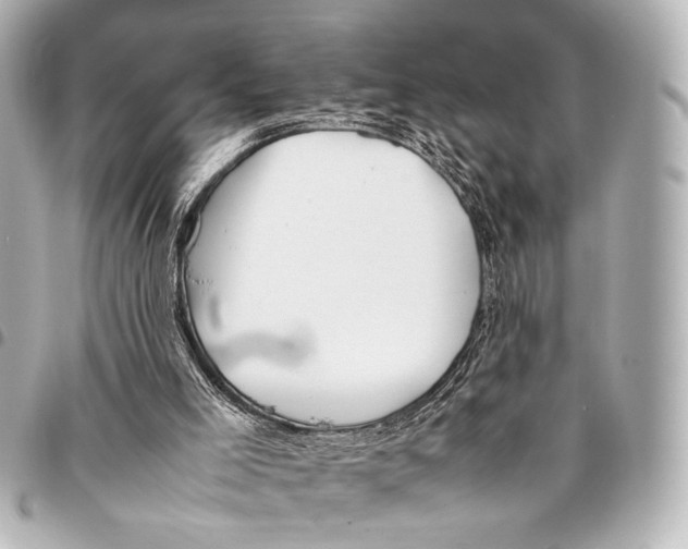 X0000094970005200712201233