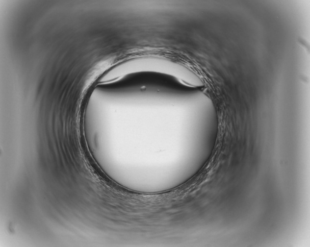 X0000094970006200712201233