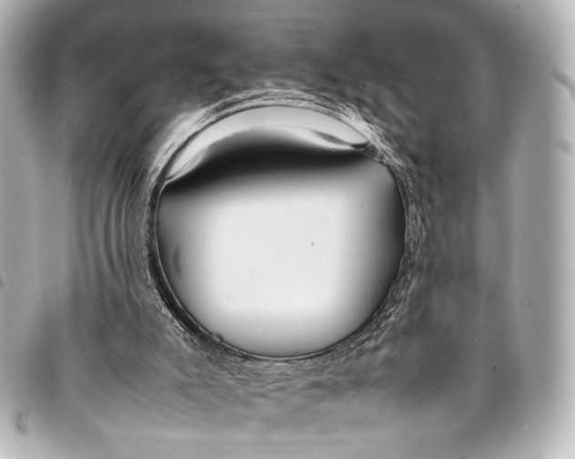 X0000094970007200712201233