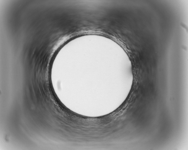 X0000094970008200712201233