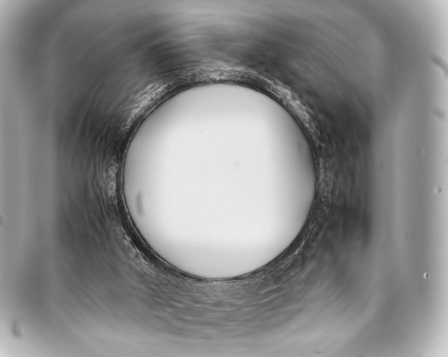 X0000094970010200712201233