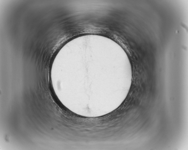 X0000094970011200712201233