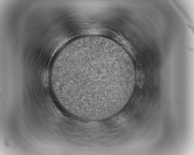 X0000094970012200712201233