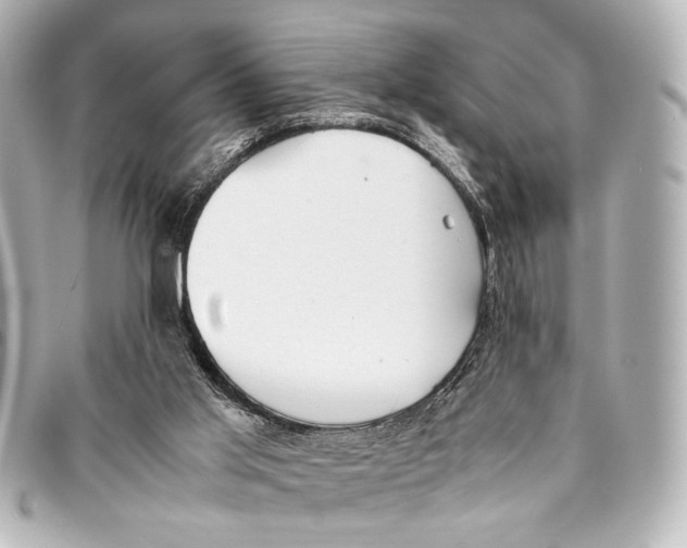 X0000094970013200712201233