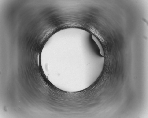 X0000094970014200712201233