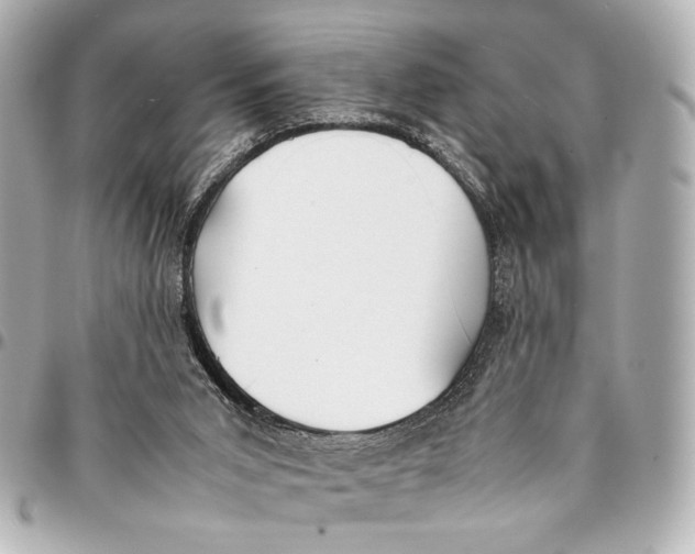 X0000094970015200712201233