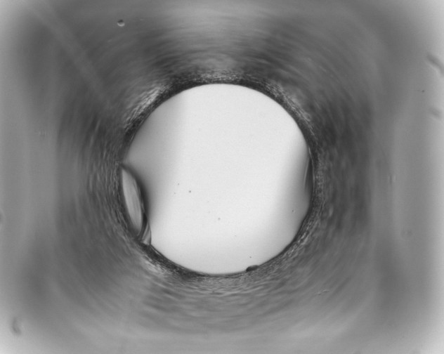 X0000094970017200712201233