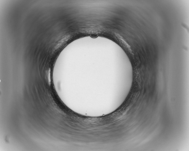 X0000094970020200712201233