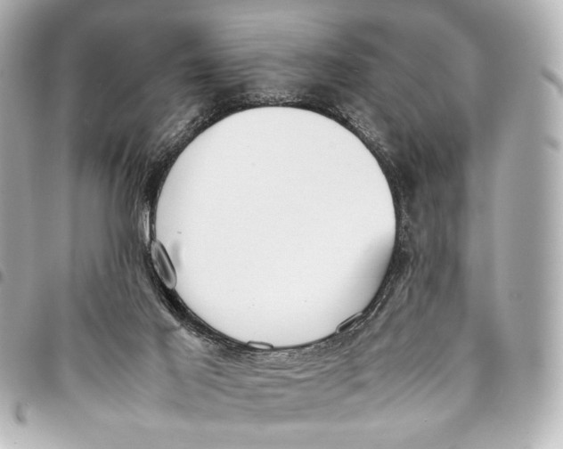 X0000094970021200712201233