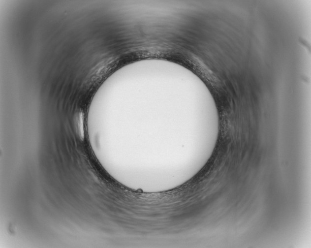 X0000094970022200712201233