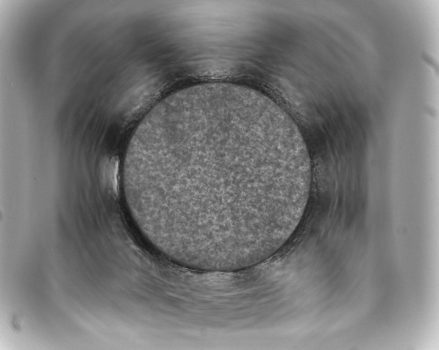 X0000094970024200712201233