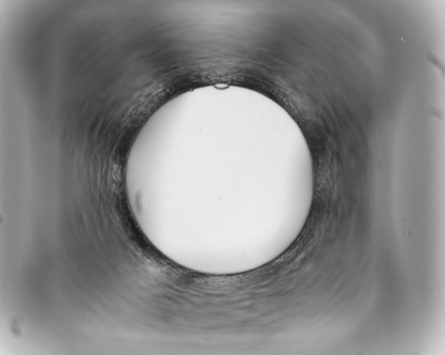 X0000094970025200712201233