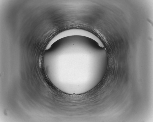 X0000094970026200712201233