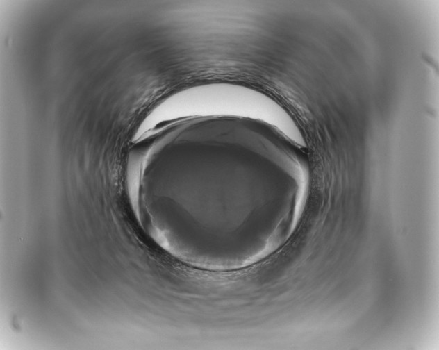 X0000094970031200712201232