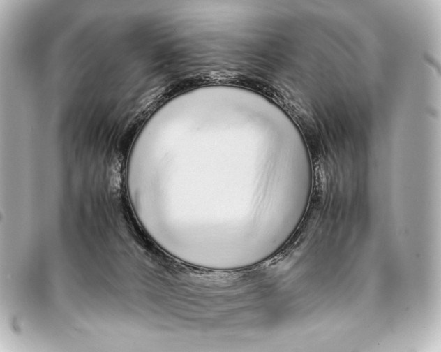 X0000094970032200712201232