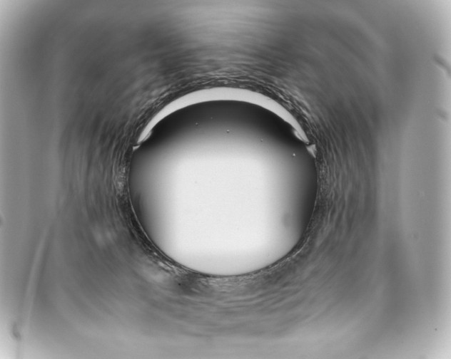 X0000094970033200712201232