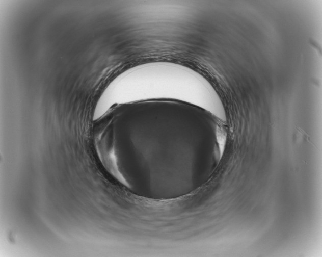 X0000094970035200712201232