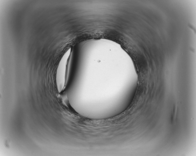 X0000094970037200712201232