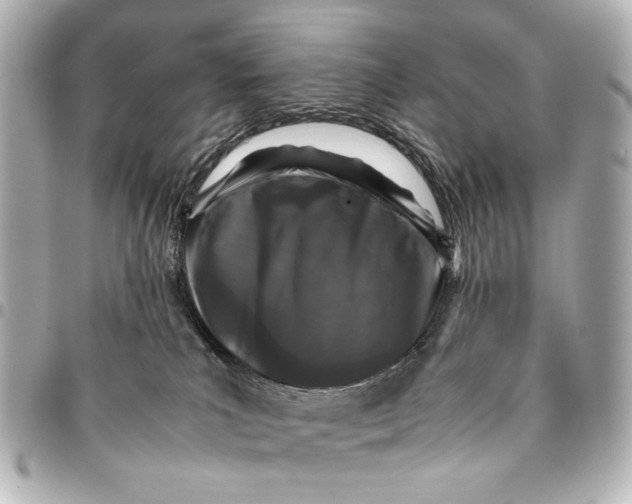 X0000094970039200712201232