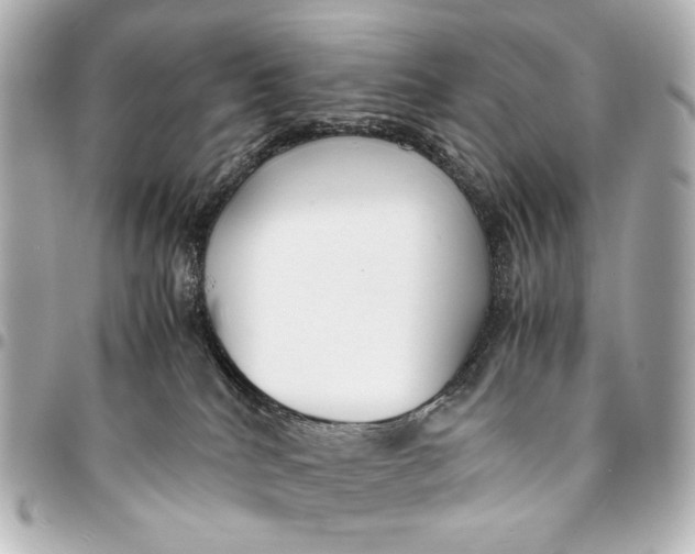 X0000094970040200712201232