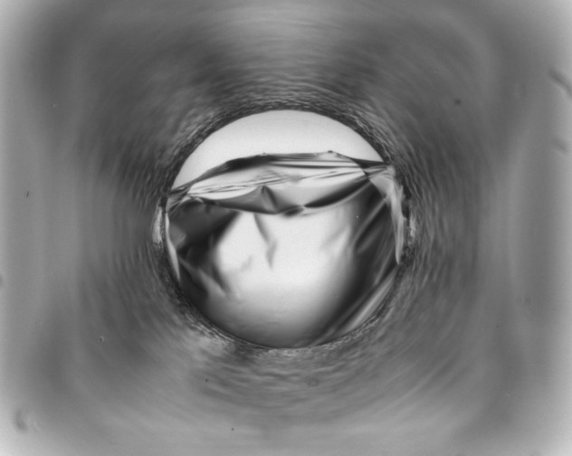 X0000094970041200712201232