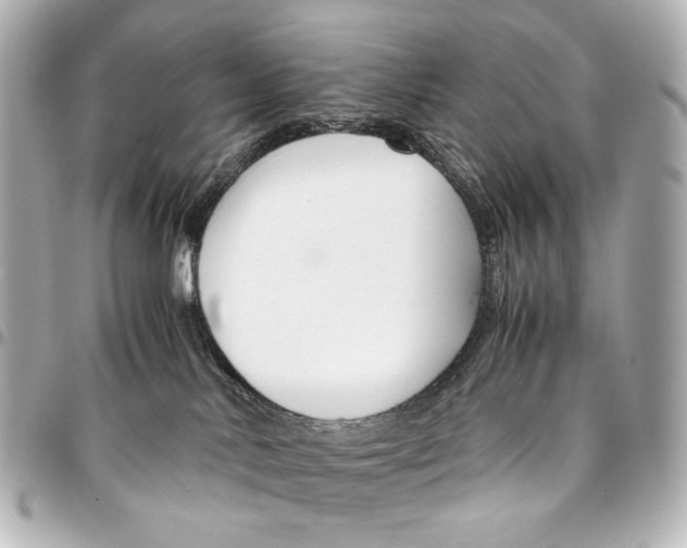 X0000094970042200712201232