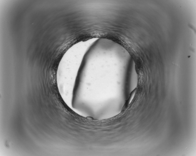 X0000094970043200712201232