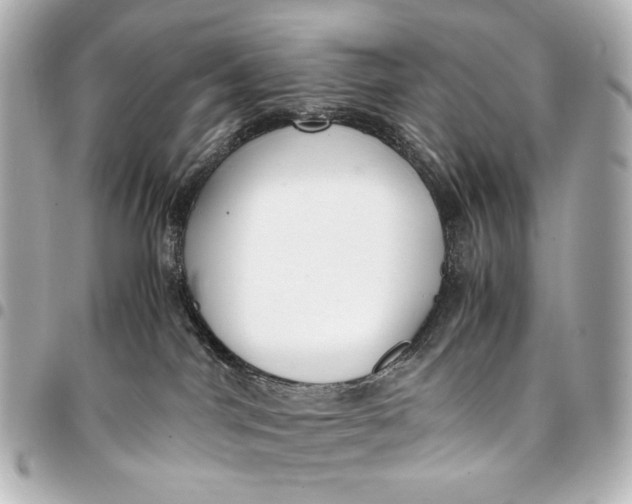 X0000094970044200712201232