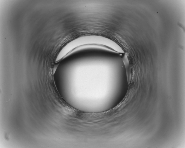 X0000094970045200712201232