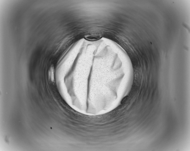 X0000094970046200712201232