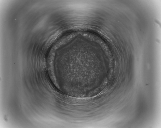 X0000094970048200712201232