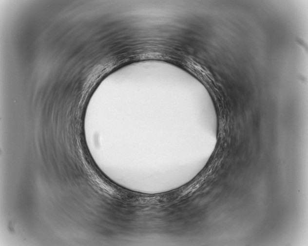 X0000094970049200712201232