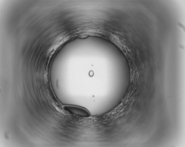 X0000094970050200712201232