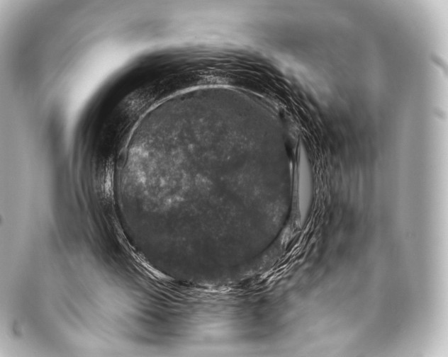 X0000094970052200712201232