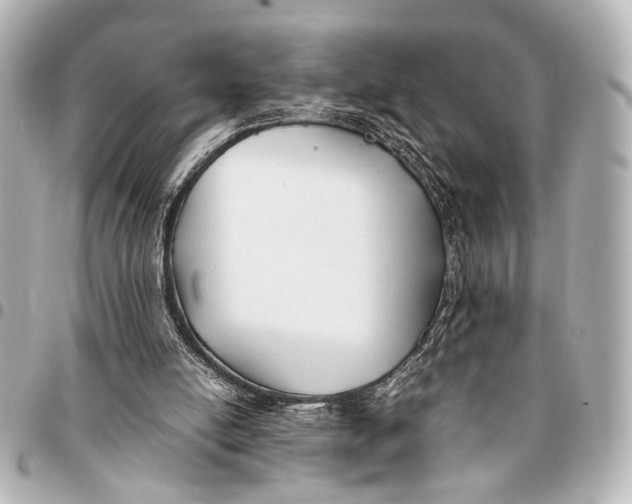 X0000094970054200712201232