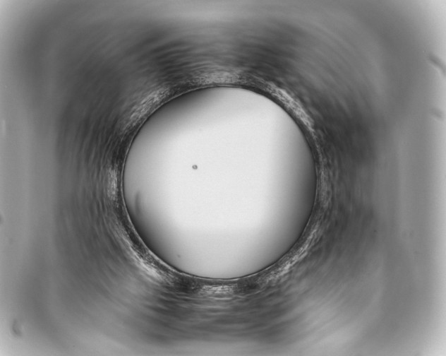 X0000094970057200712201232