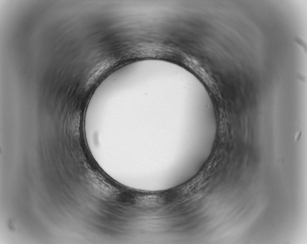 X0000094970058200712201232