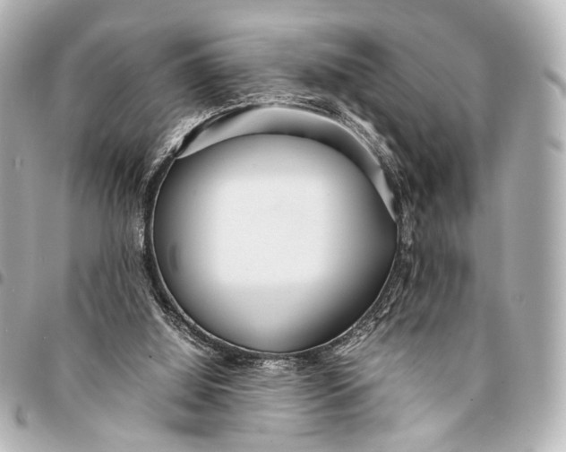 X0000094970060200712201232