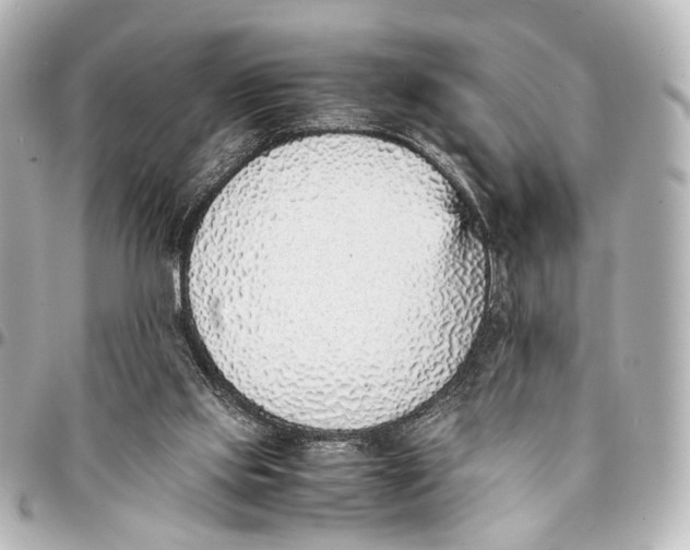 X0000094970061200712201232