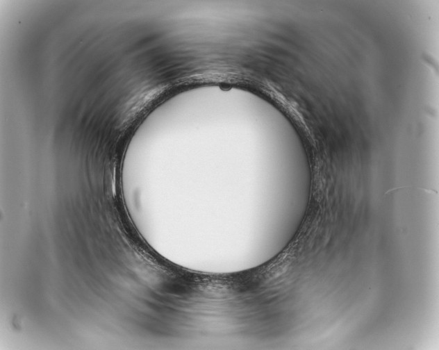 X0000094970062200712201232